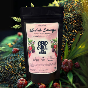 🍓 Infusion Balade Sauvage – Fruits Rouges