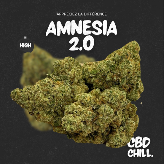 AMNESIA 2.0 - CBD CHILL