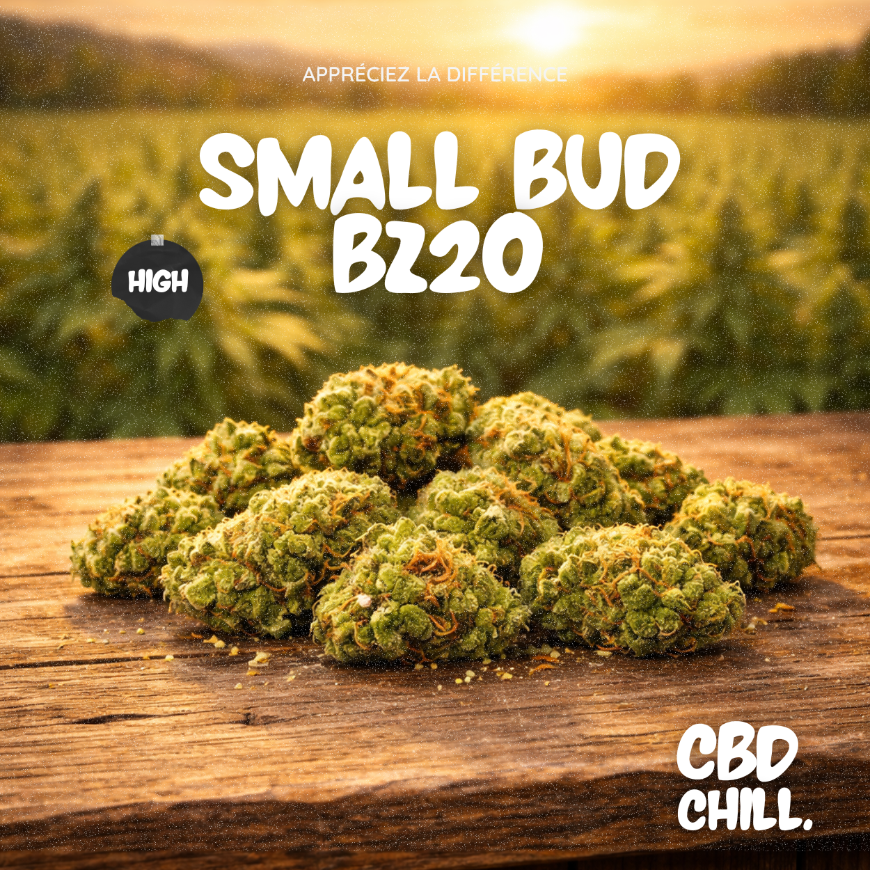 SMALL BUD – BZ20 - CBD CHILL