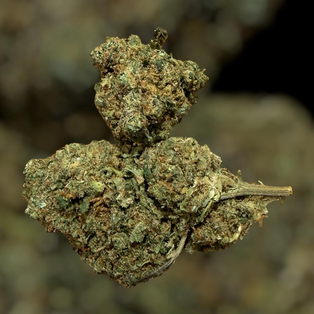 PLUTONIUM