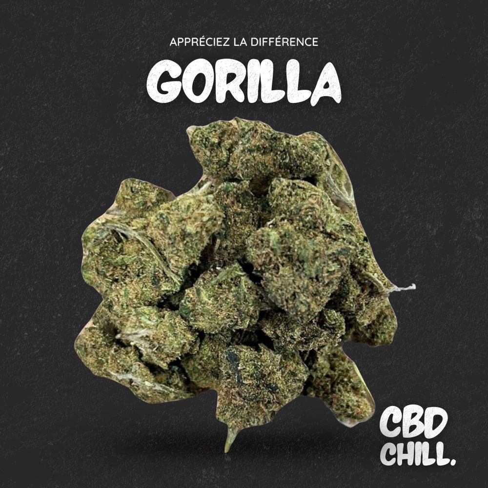 GORILLA
