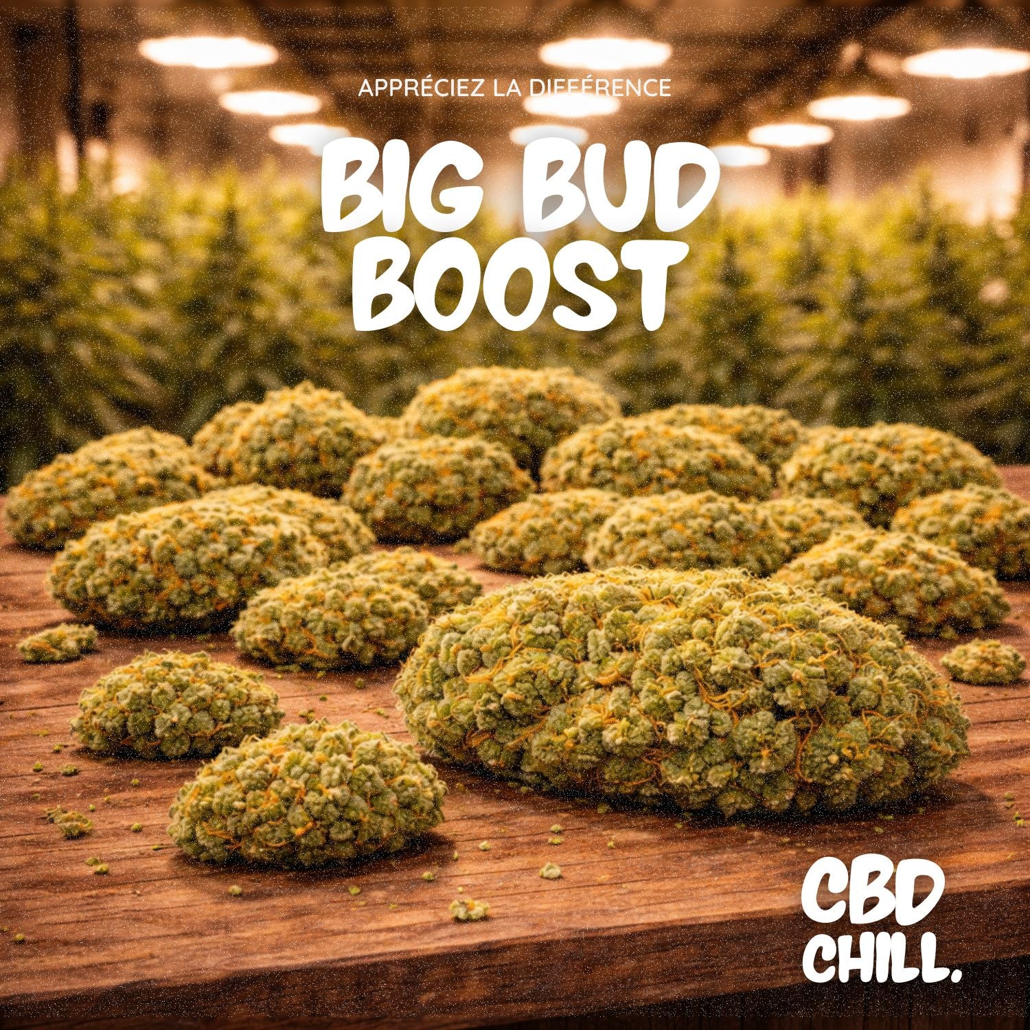 BIG BUD BOOST - CBD CHILL