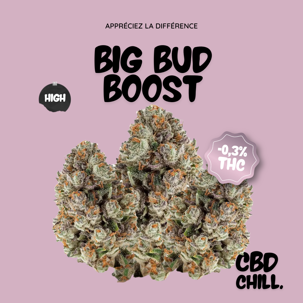 Big Bud Boost - CBD Chill