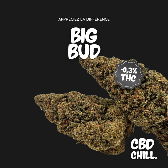 Big Bud - CBD Chill