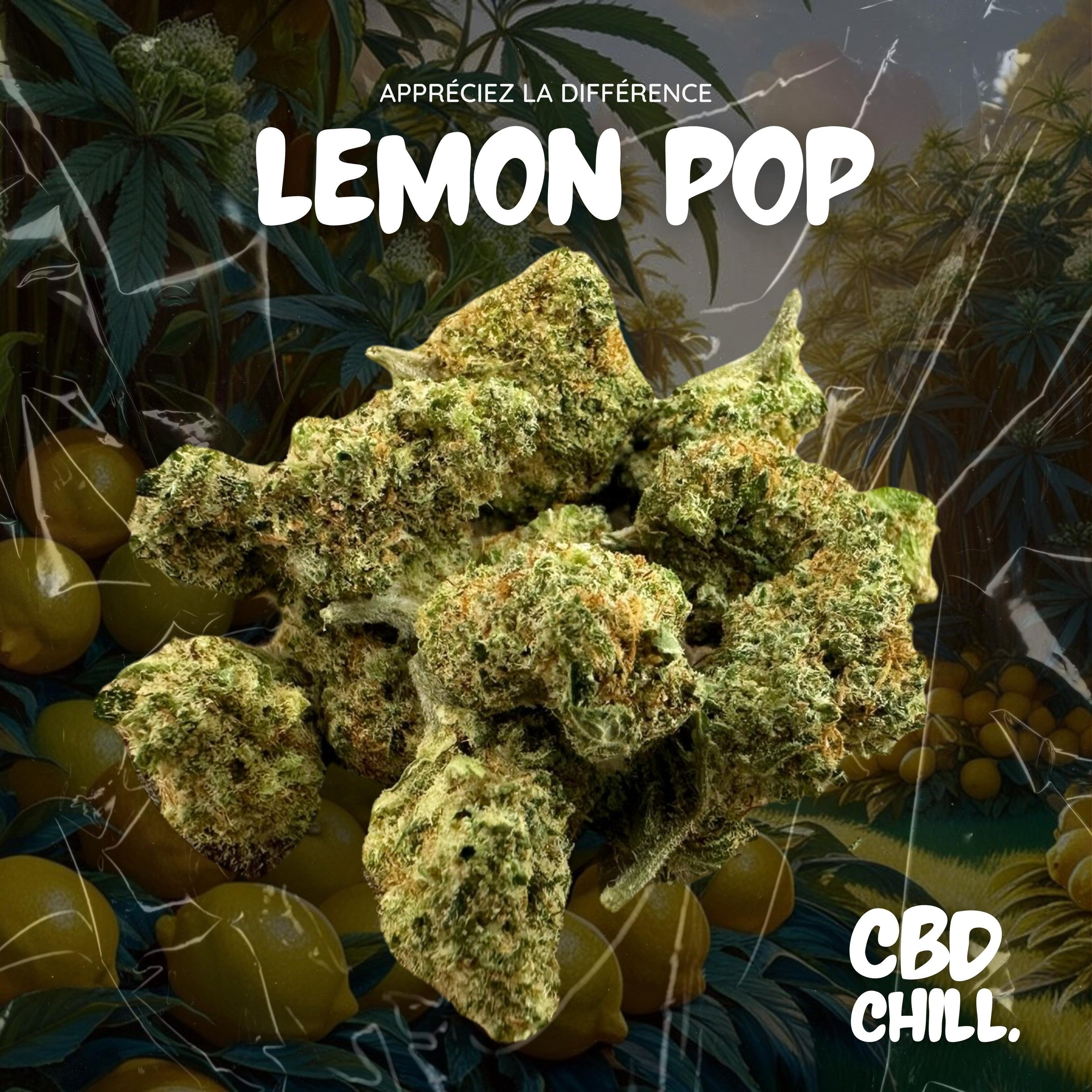 LEMON POP