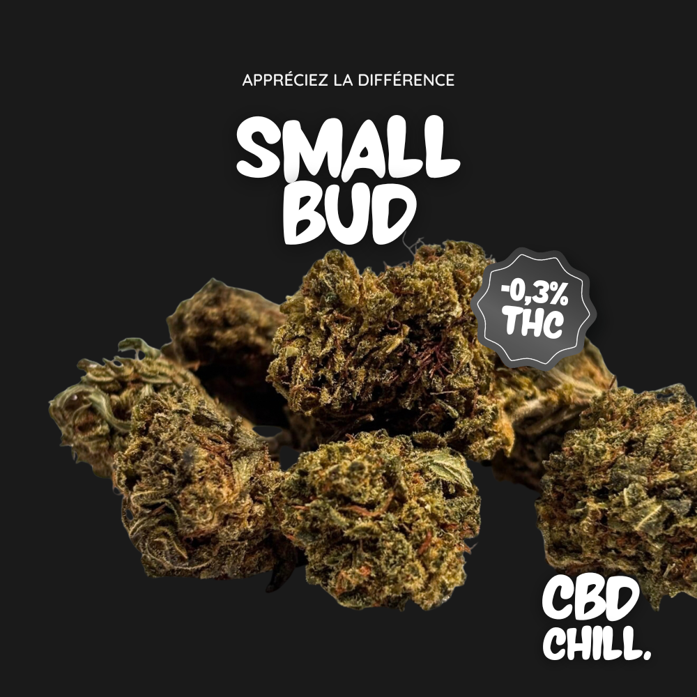 Small Bud - CBD Chill
