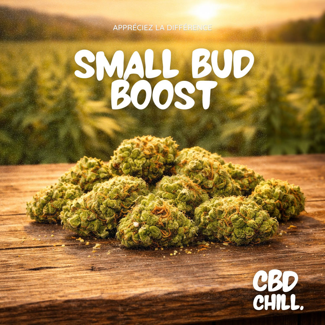 SMALL BUD BOOST - CBD CHILL
