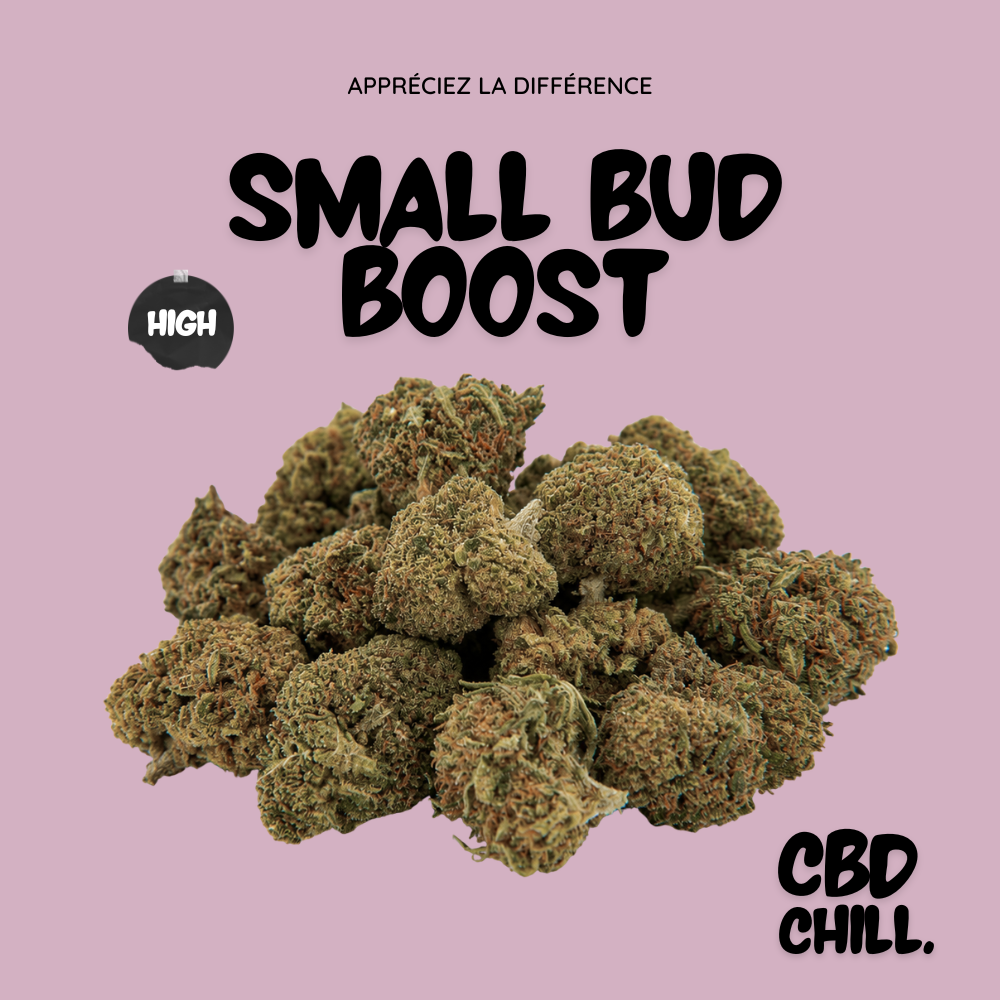 Small Bud Boost - CBD Chill
