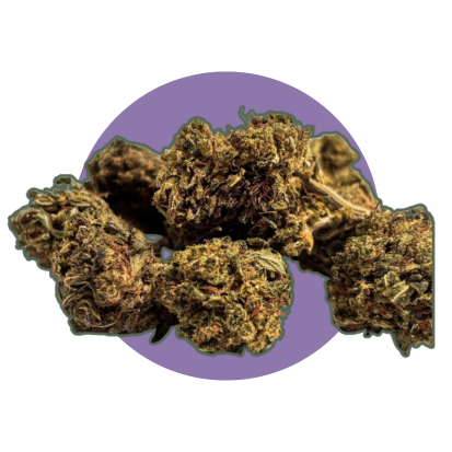 SMALL BUD BOOST